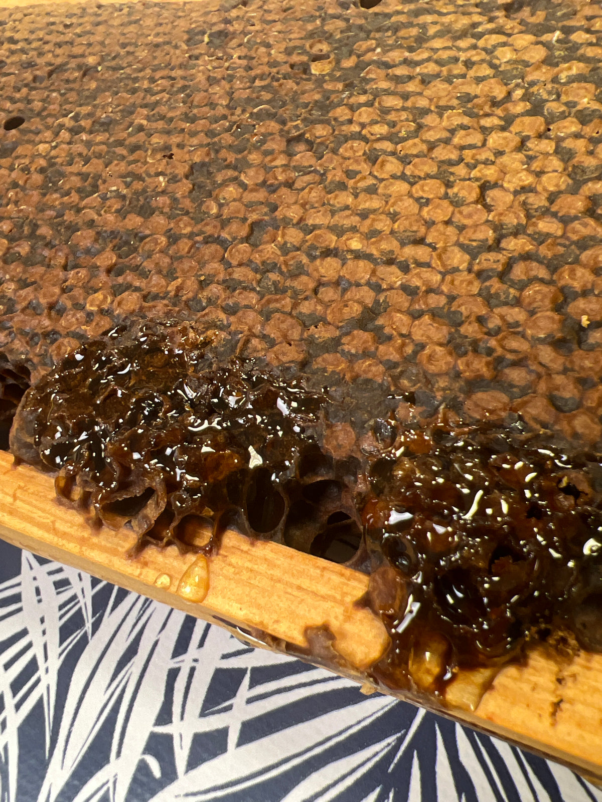 Cake Honey Dark