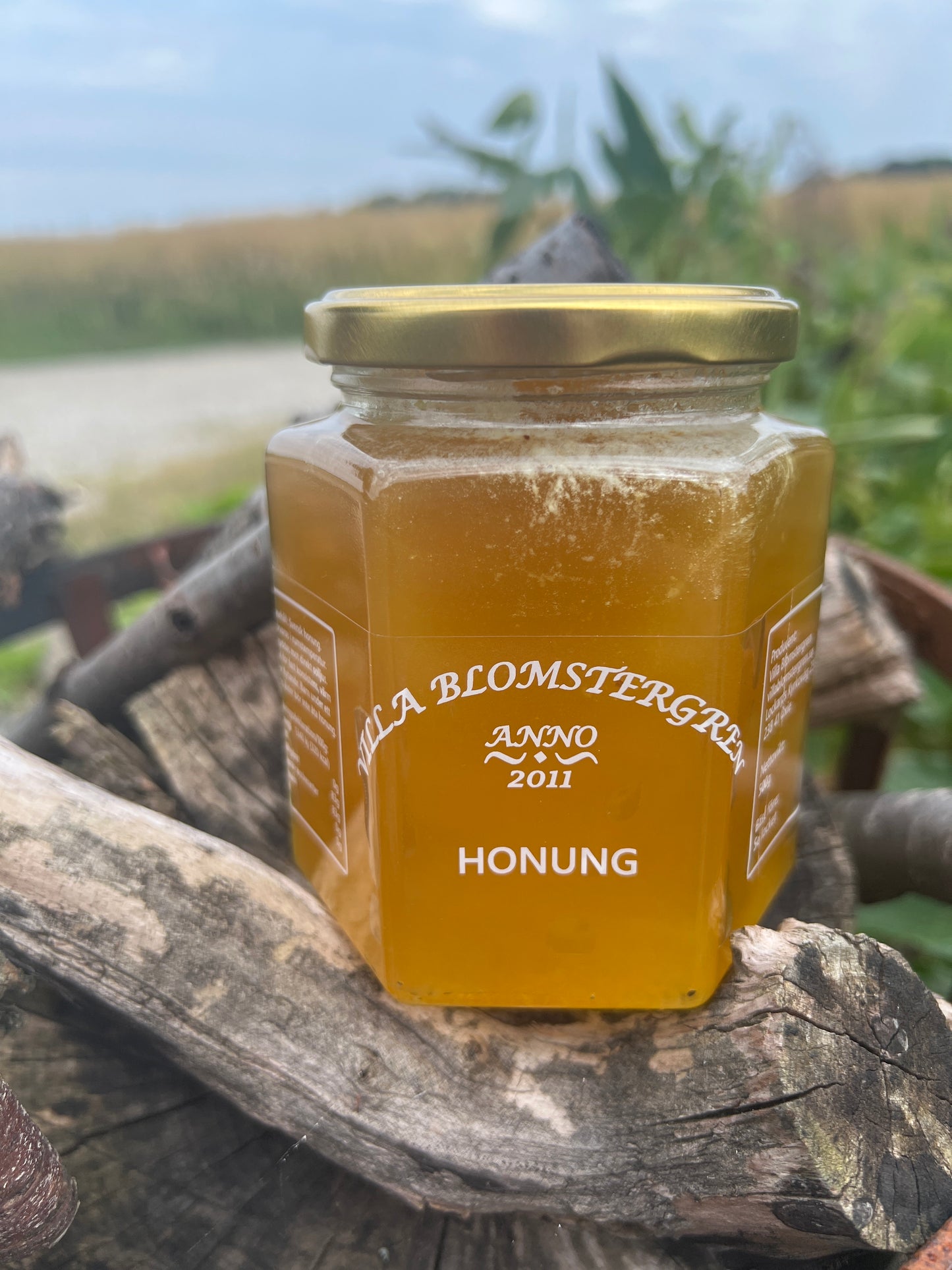 Kallpressad RAW Ljung honung 500 g – Svensk honung (Kopia)