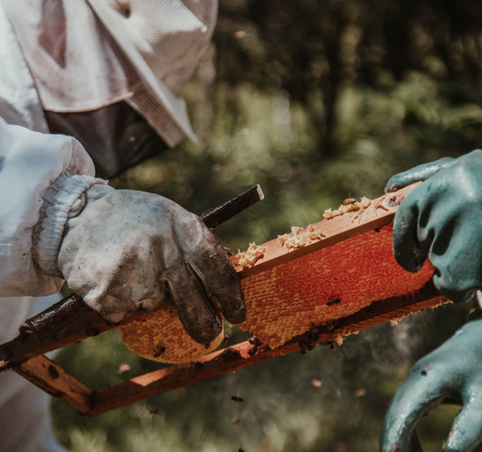 Snabb historia om honung