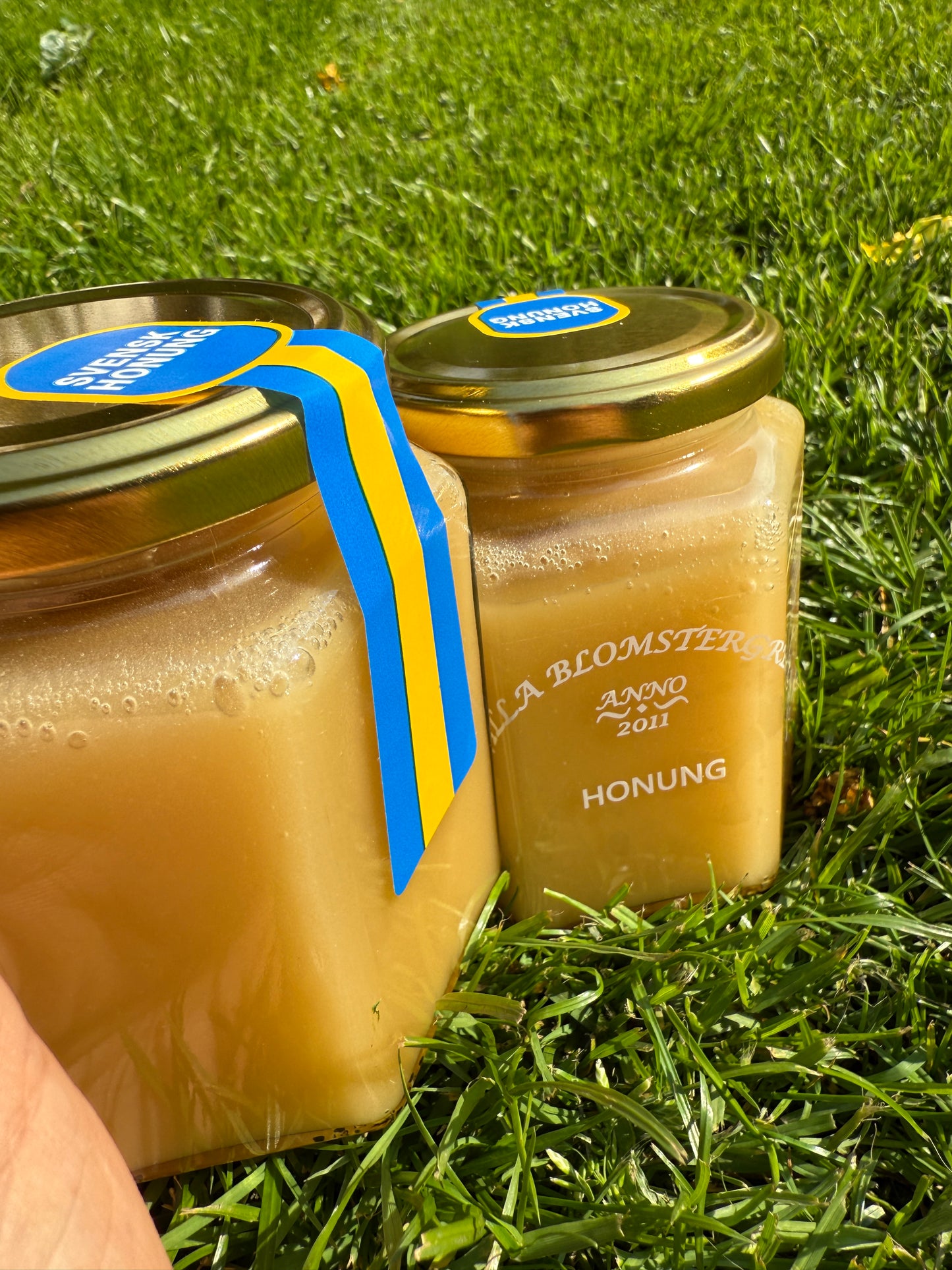 500g RAW KALLPRESSAD på Sveriges Nationaldag 6/6-25