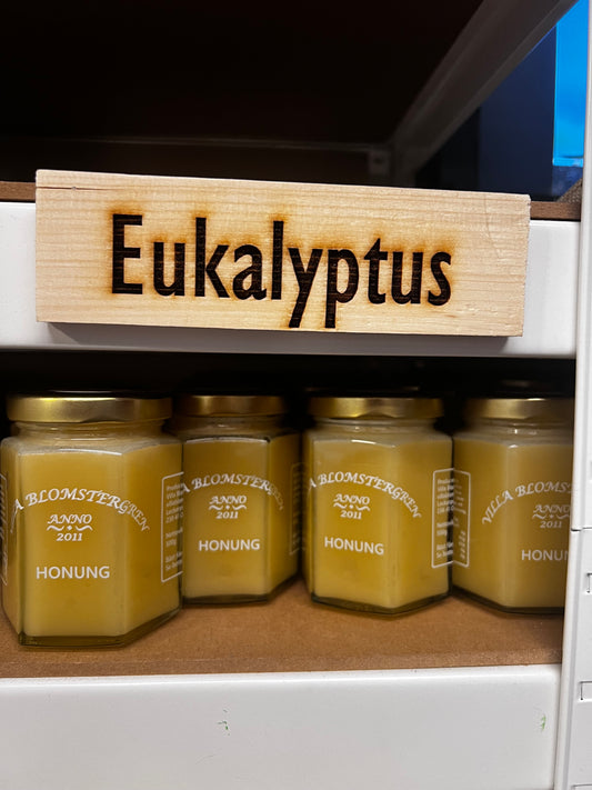 Honung med Eukalyptus