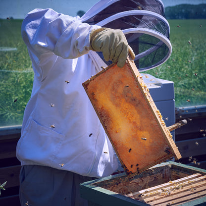 Cooperative beekeeping BRONZE