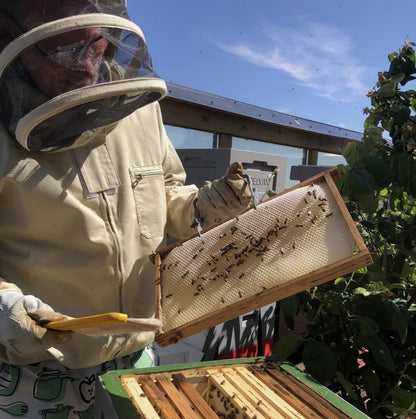 Cooperative beekeeping GOLD