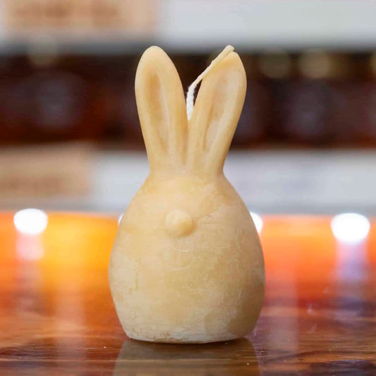 شموع شمع العسل - هوني باني