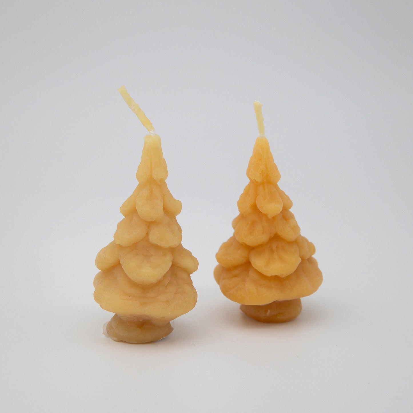 Bivaxljus – Mini Winter Tree